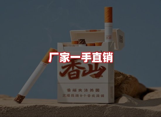 专业团队
